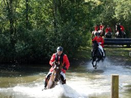 301203_10151090369848585_181580126_n